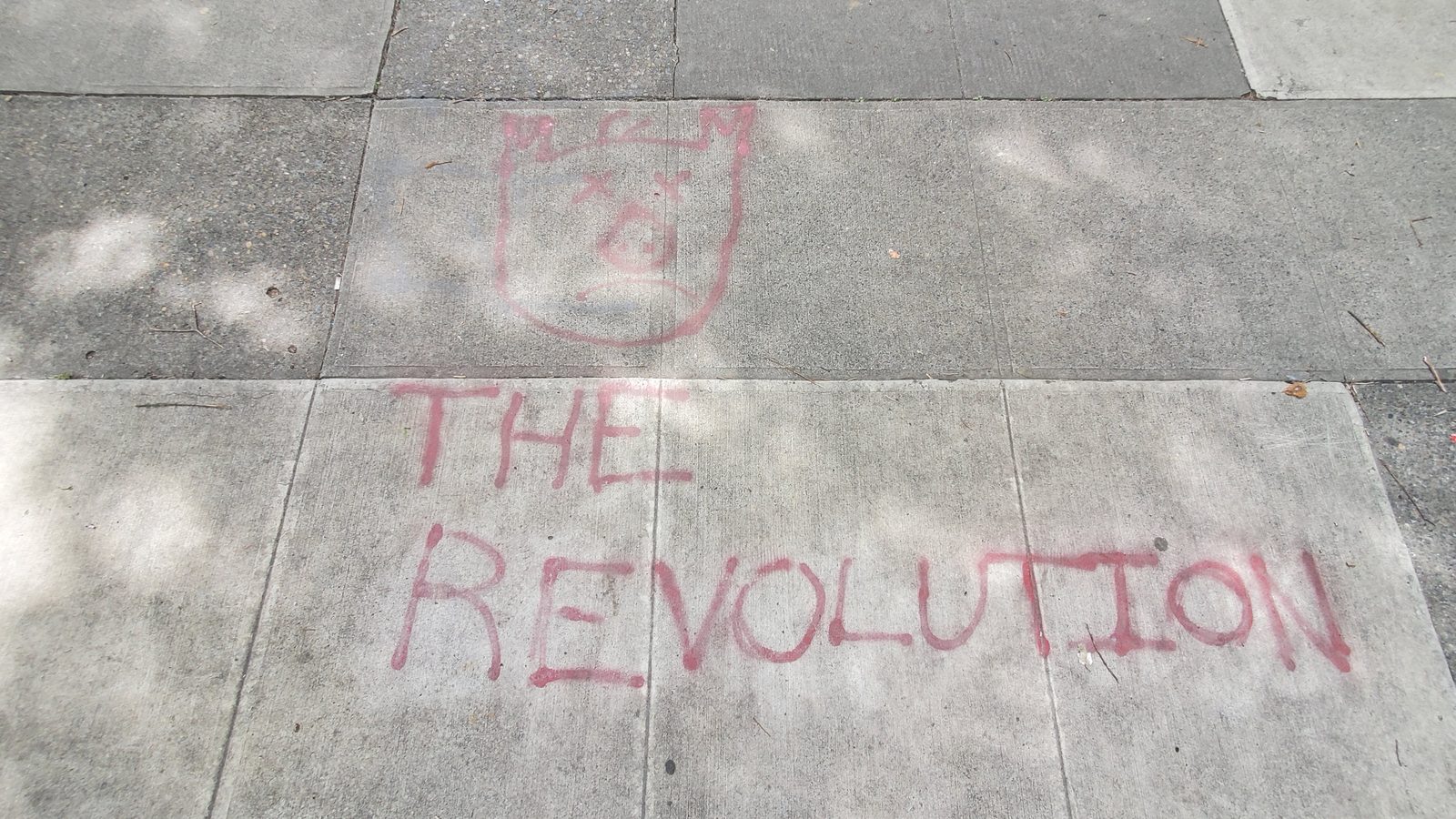 REVOLUTION